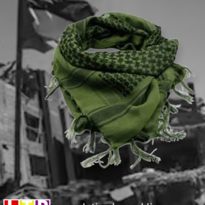 Pañuelo "Kufiya" Palestino Verde / Negro