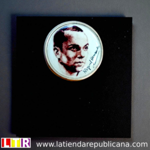 Pin Miguel Hernández